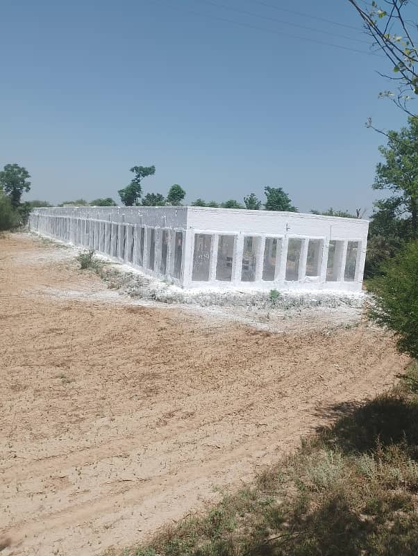 Chicks shed with 12.4 kanal agriculture land for sale in mandra chakwal road chakwal 15