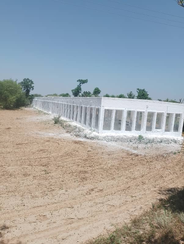 Chicks shed with 12.4 kanal agriculture land for sale in mandra chakwal road chakwal 16
