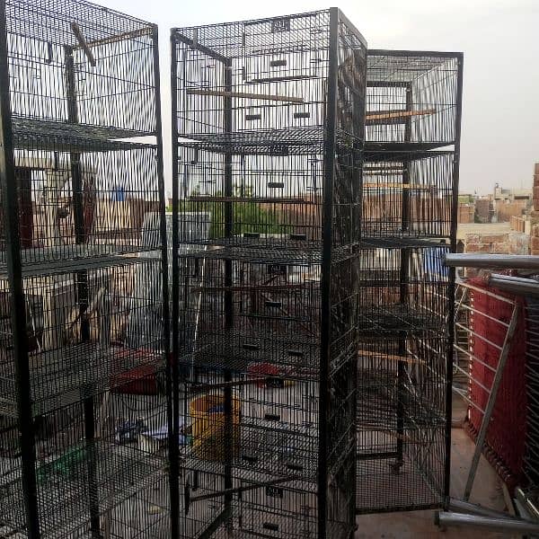 Love Bird Cages 0