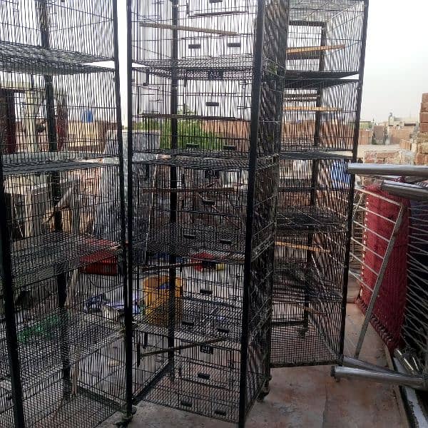 Love Bird Cages 1