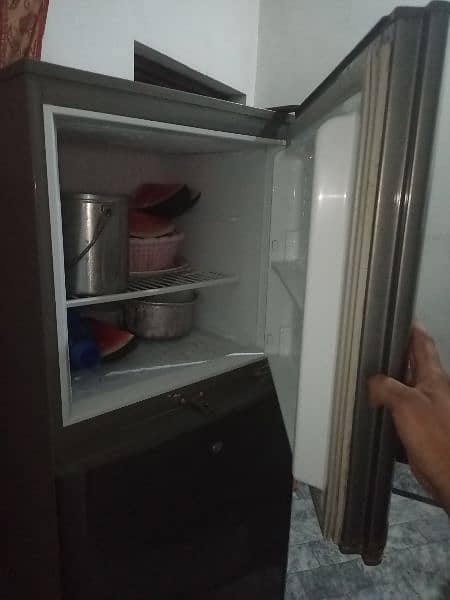 Pell medium size fridge full ok 1