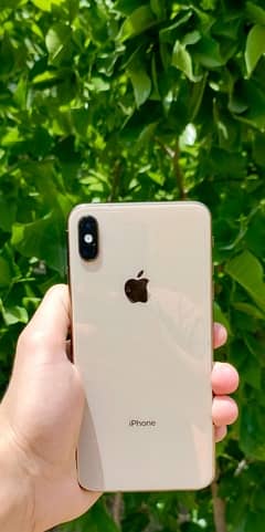 I phone XS MAX PTA APPROVED