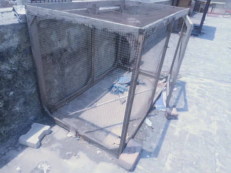 2 cage with pigeons for sale + petti or tin chaath shml nhi ha 1