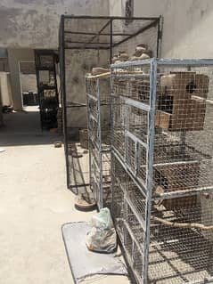 iron cages for sale