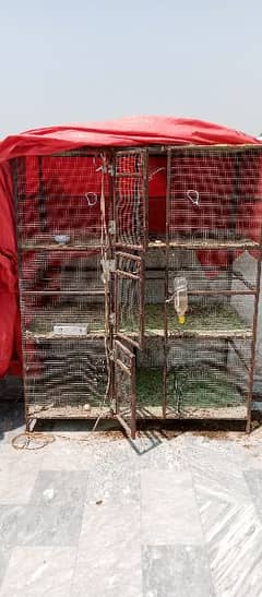 hens cage available 6×5×3