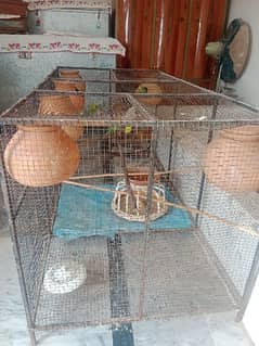 BIRDS CAGE UP FOR SALE