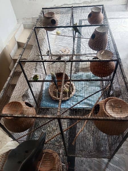BIRDS CAGE UP FOR SALE 5