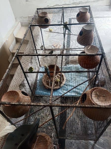 BIRDS CAGE UP FOR SALE 6
