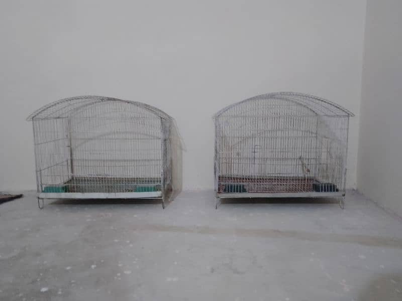 Bird's cage available 1