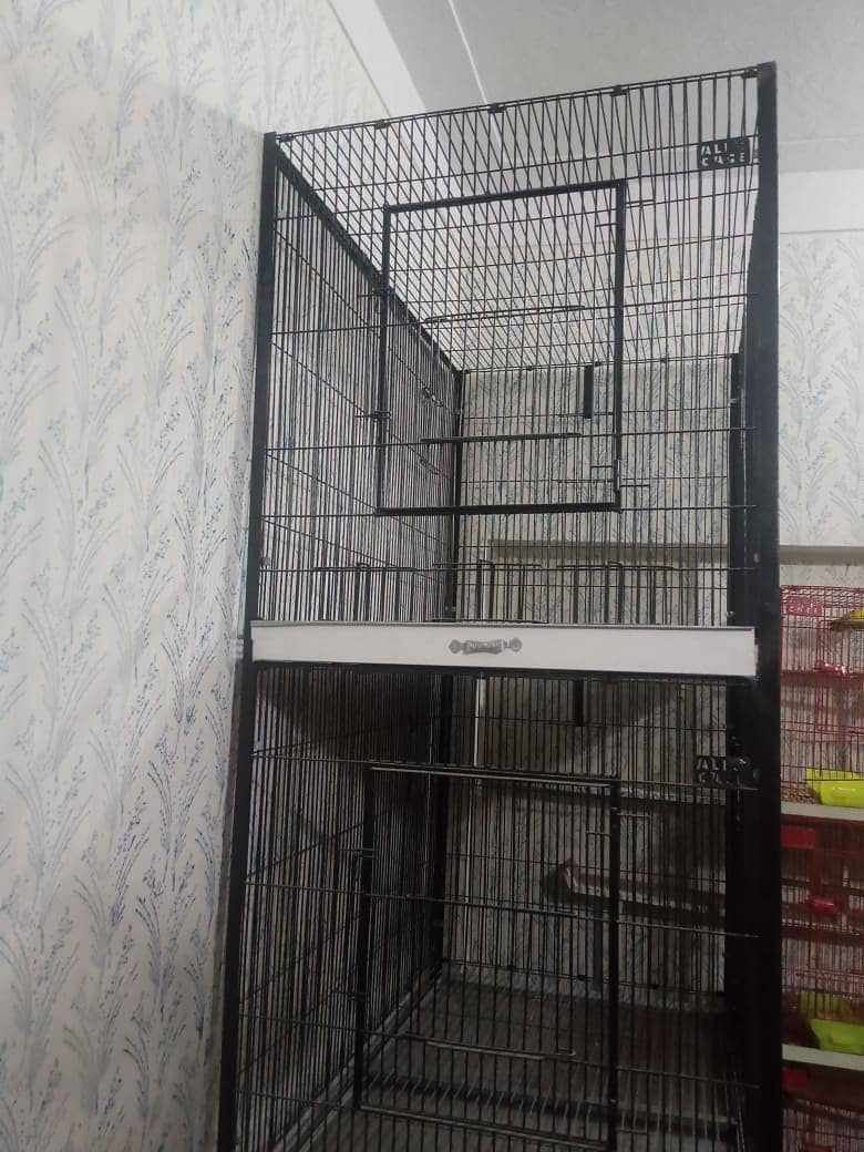 Birds Cage For Sale Folding cage, Cage for Grey, Conures breeding 0