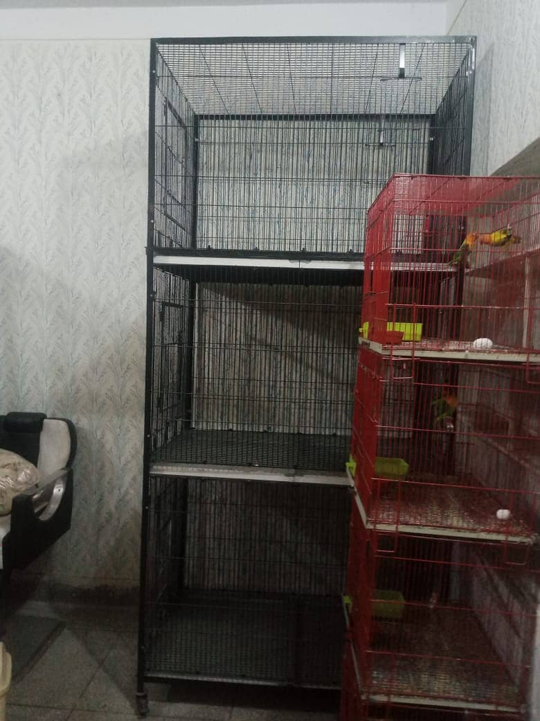 Birds Cage For Sale Folding cage, Cage for Grey, Conures breeding 1