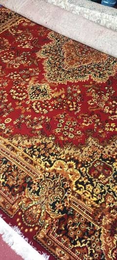 arani carpets 0
