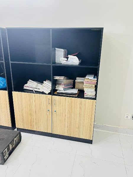 file rack/back cabinet 15
