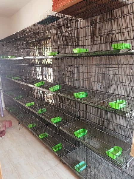 Master birds cages 0
