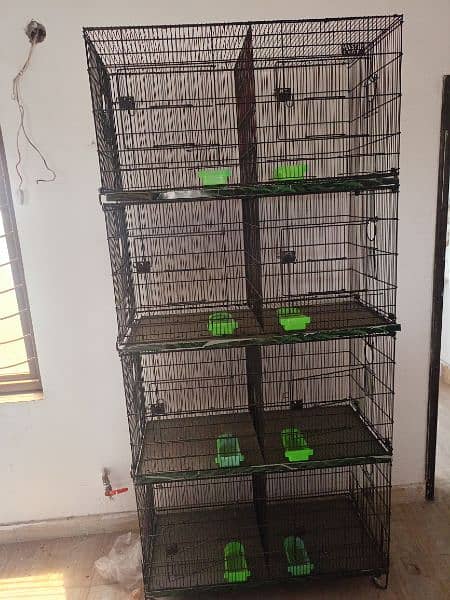 Master birds cages 1