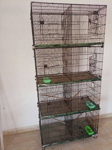 Master birds cages 2