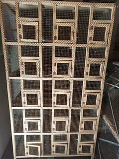 urgent sell all step cage jawa