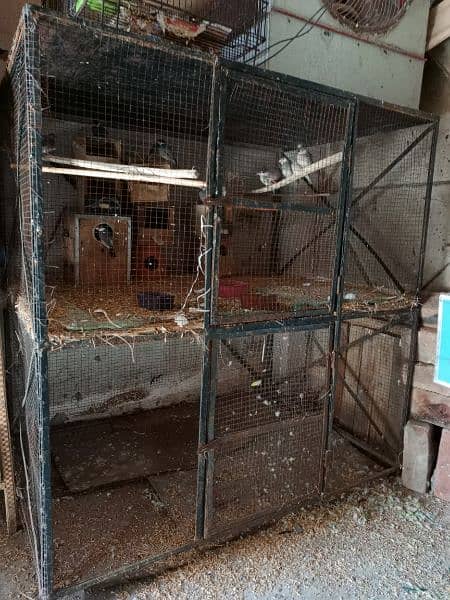 urgent sell all step cage jawa 2