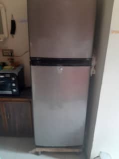orient fridger