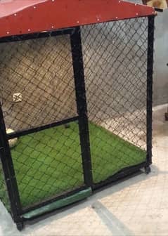 Cage for Dogs