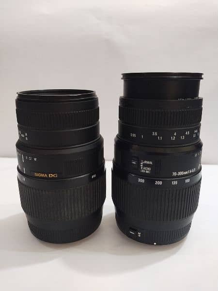 Sigma 70-300mm for Canon 3