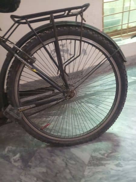 Typhoon bicycle in very good condition 2