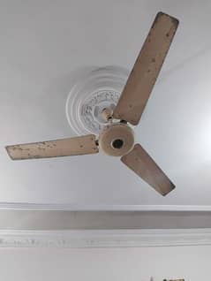3 ceiling fans . each fan 5000 . bahtreen hawa