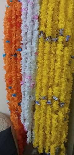Mehndi Nikah decors Curtains  glasses and props for barat