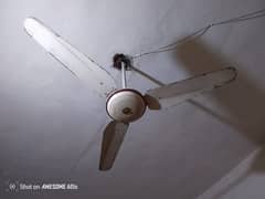 Ceiling fan  ok