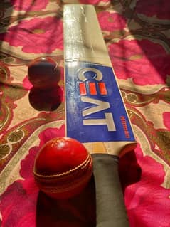 Hard Ball Cricket Bat