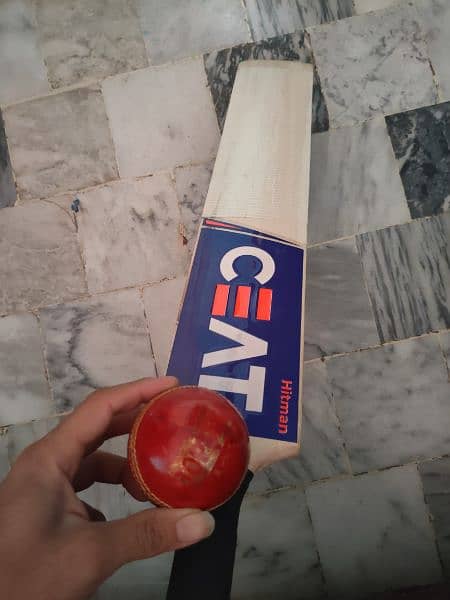 Hard Ball Cricket Bat 1