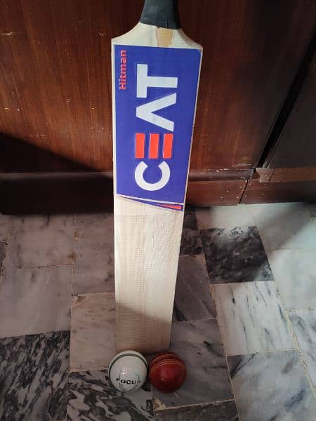 Hard Ball Cricket Bat 5