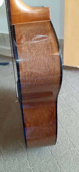 Yamaha F310 Acoustic Guitar 3