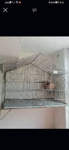 Small medium & large cage are available