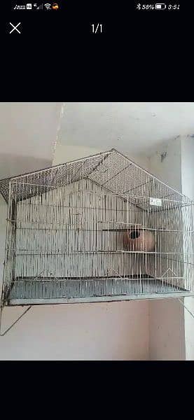 Small medium & large cage are available 0