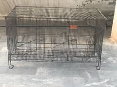 best cage for hens parrots