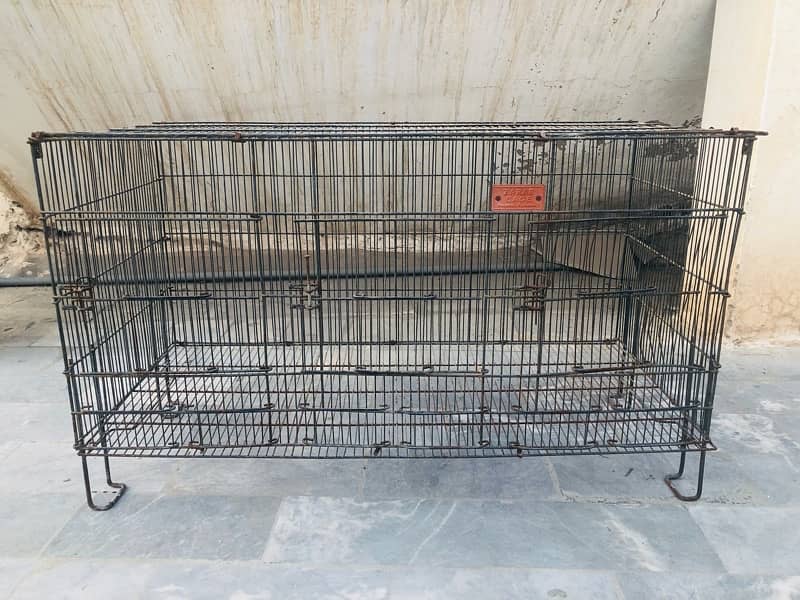 best cage for hens parrots 1