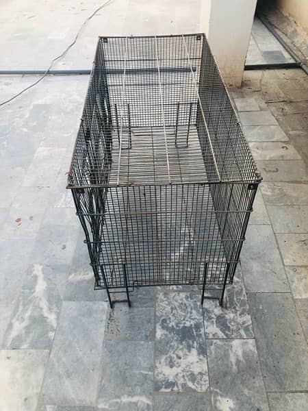 best cage for hens parrots 2