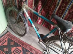 wheelar bicycle