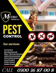 Pest control services & Termite Treatment Fumigation all types insects 0