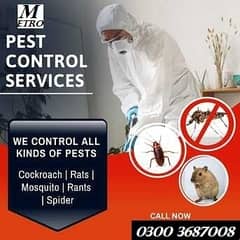 Pest control services & Termite Treatment all Fumigation types insects