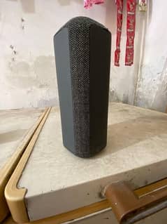 sony speaker SRS-XE300