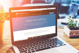 Need Wordpress developer