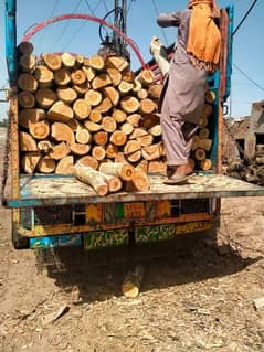 Fire wood Lakri for Industrial use