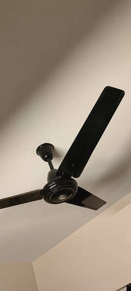 SK Ceiling fan perfect condition 3