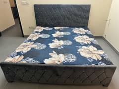 Double bed full size in grey colour with velvet pohsish