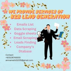 I'll provide services of B2b Lead gernation 0