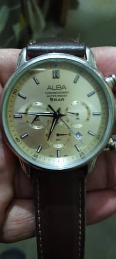Alba Chronograph Stainless Steel Watch