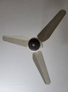 SK ceiling fans only 2 years usee
