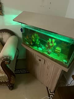 Aquarium with fishes filter and thermostat